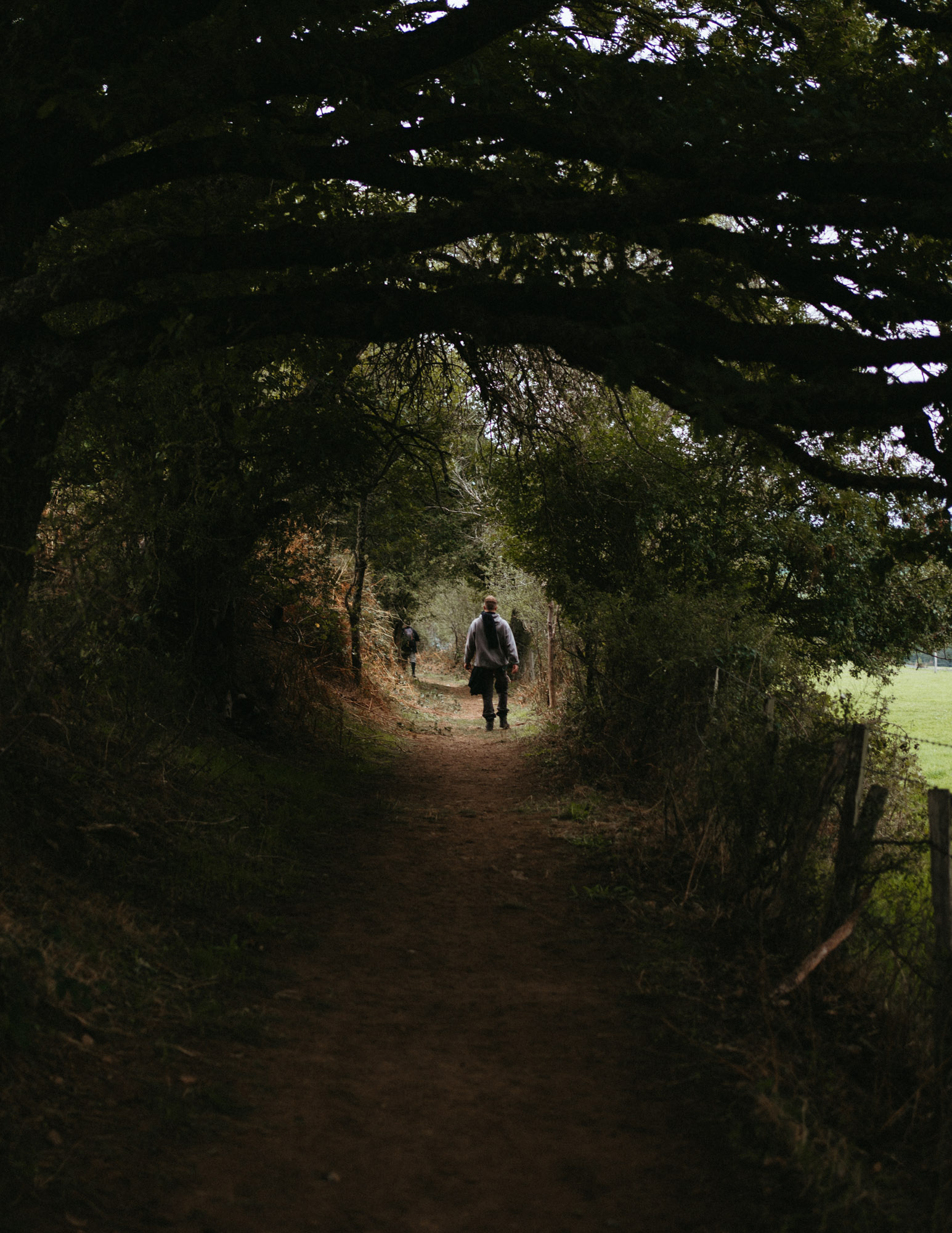 Ouroboros-1309251820 2