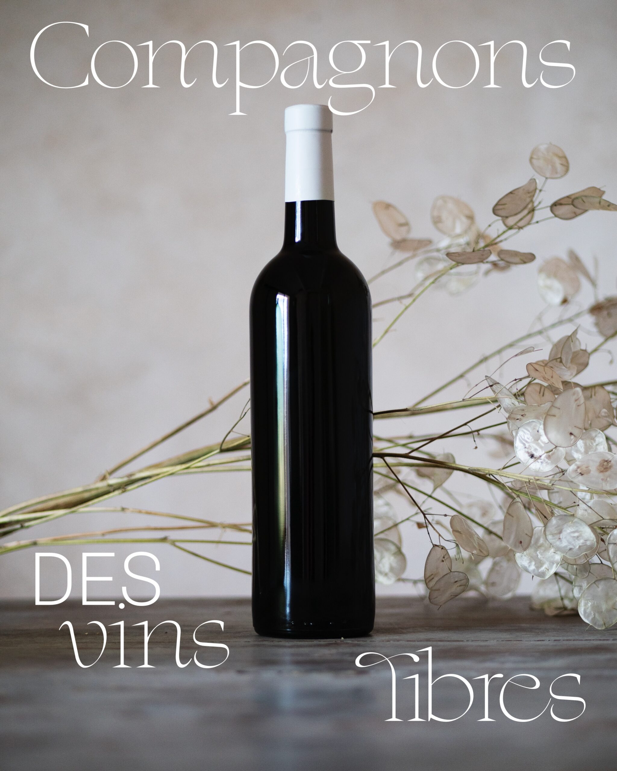 Sans étiquette 3@2x