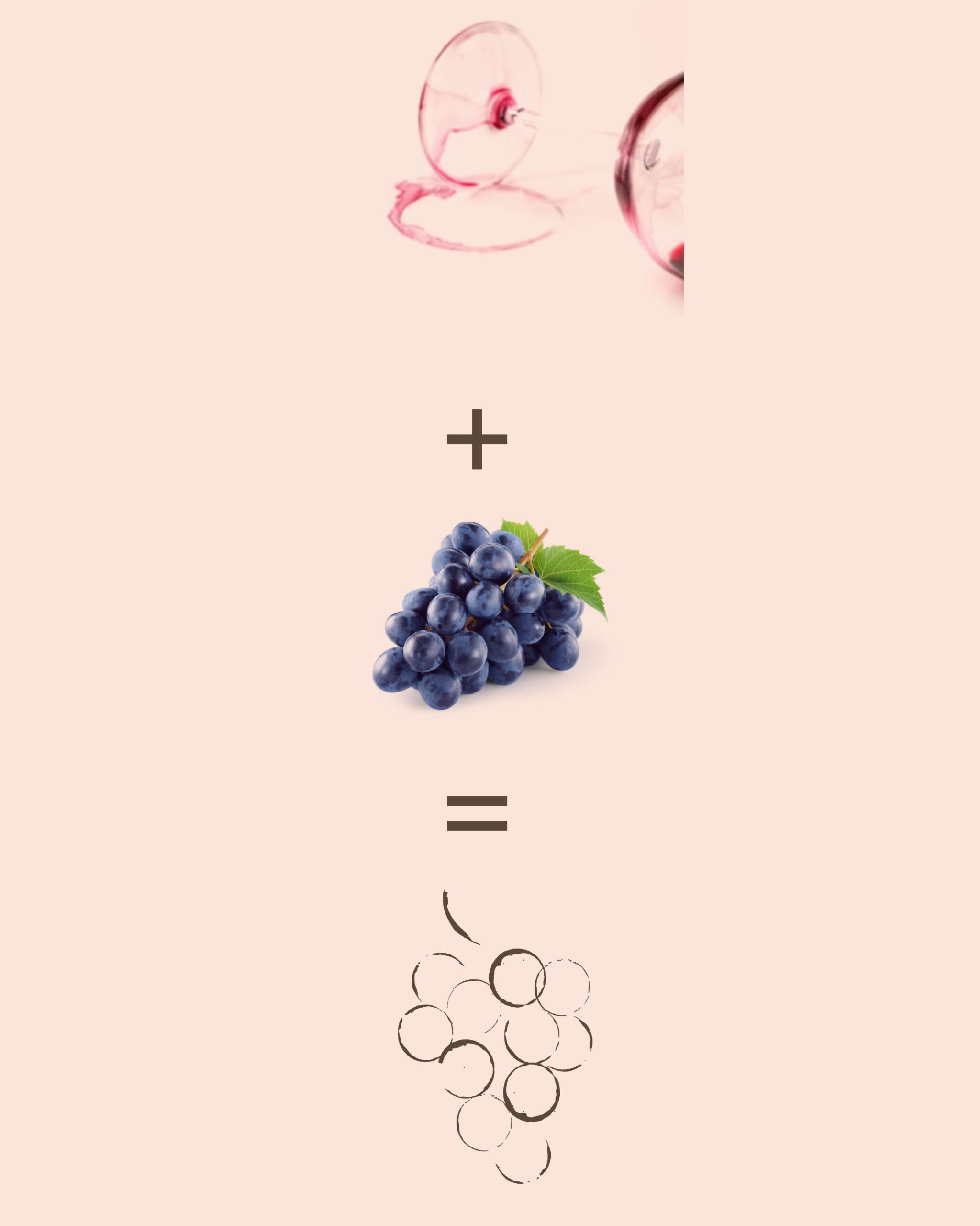 Sans étiquette 4@2x